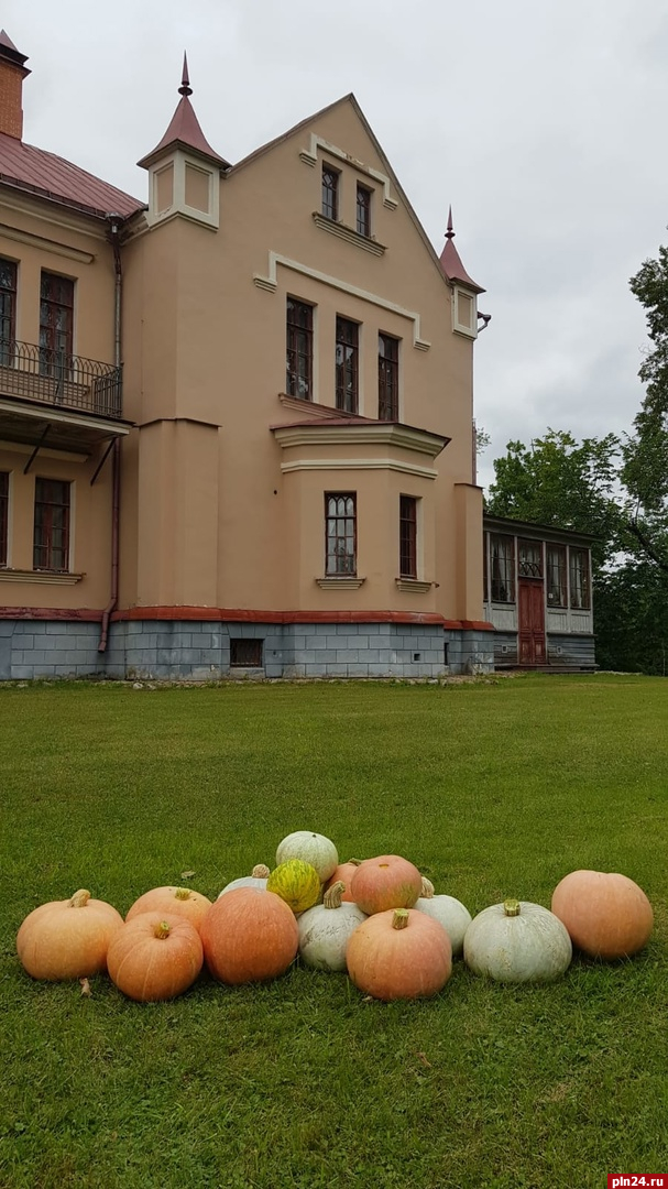 Тыквы посадили на территории мемориального музея-усадьбы Софьи Ковалевской