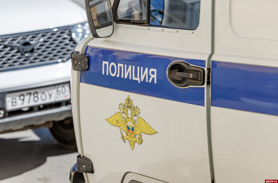 Рост разбоев и мошенничеств фиксируют в Псковской области