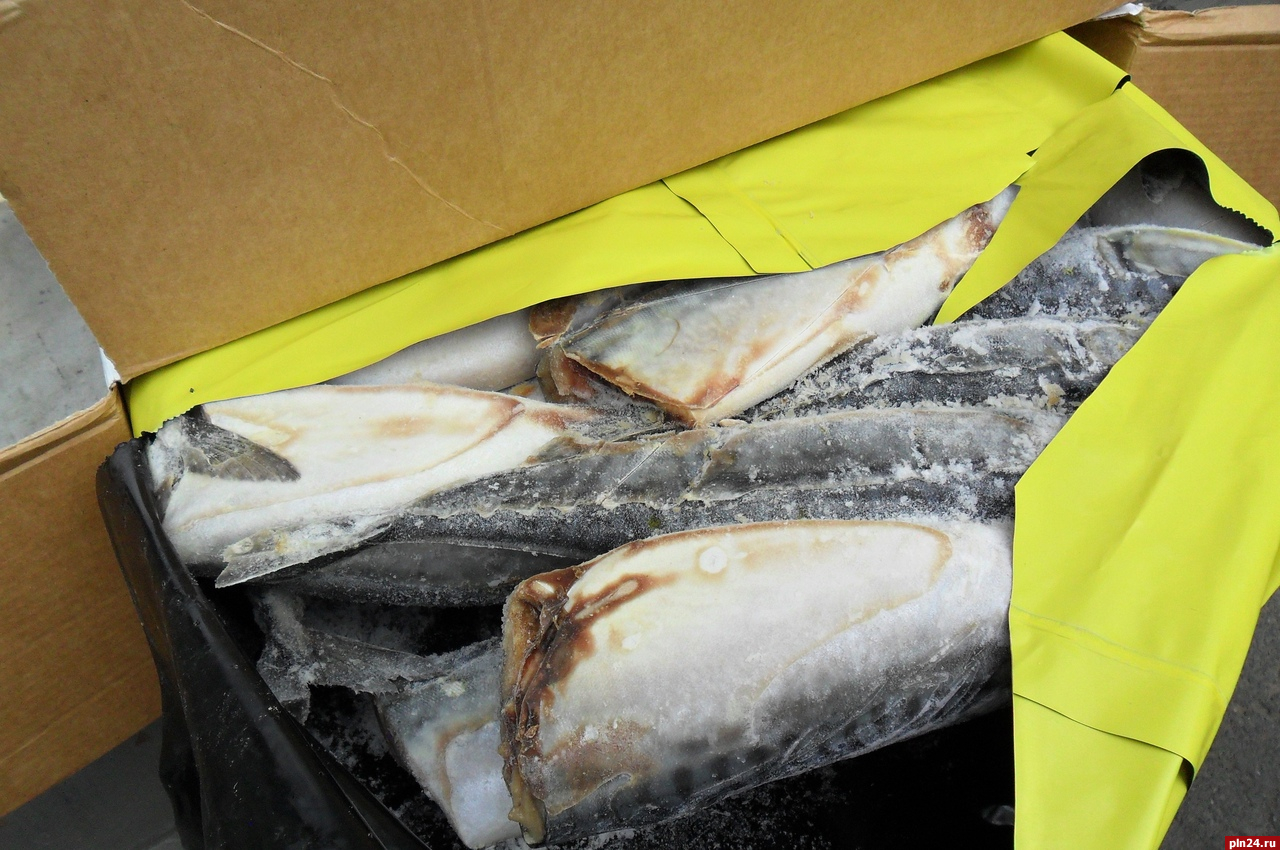 Крупную партию рыбы из Исландии не пропустили через границу РФ в Псковской области
