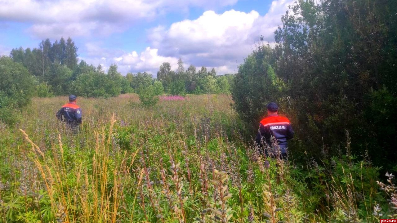 Потерявшуюся в лесу женщину нашли спасатели в Гдовском районе