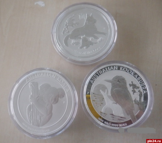 Псковские таможенники нашли в сумке иностранца килограммовые монеты