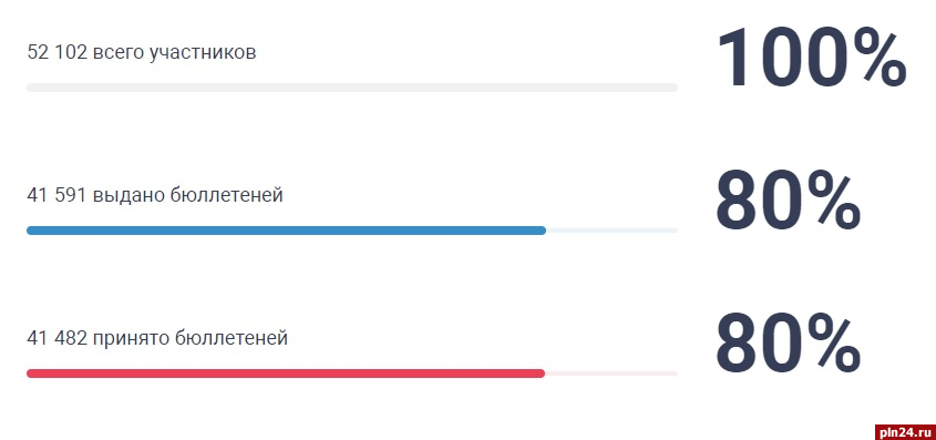 Результаты выборов в псковской области. ДЭГ голосование вы проголосовали. Бюллетень ДЭГ. Скрин ДЭГ голосования. Уже проголосовала картинки.