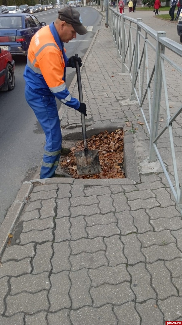 Дорожники очищают канализационные люки в Пскове от осенней листвы