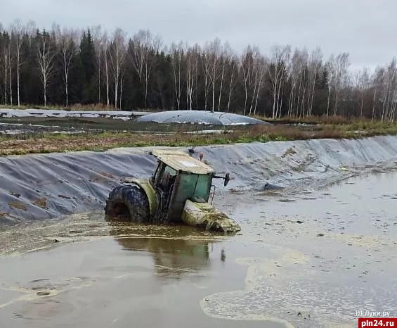 Стали известны подробности гибели тракториста в нечистотах в Псковской области