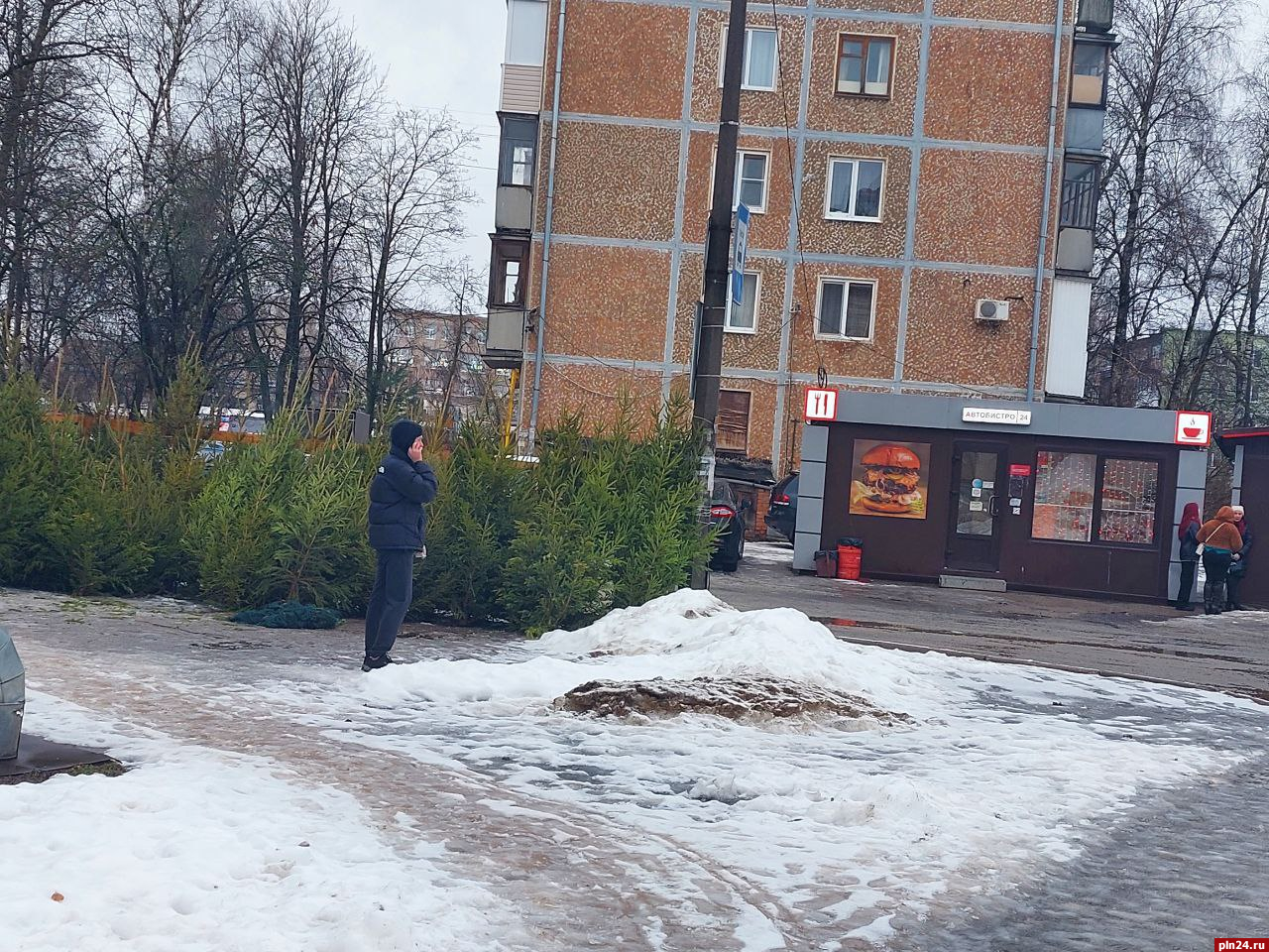 Определены места для елочных базаров в Пскове : Псковская Лента Новостей /  ПЛН