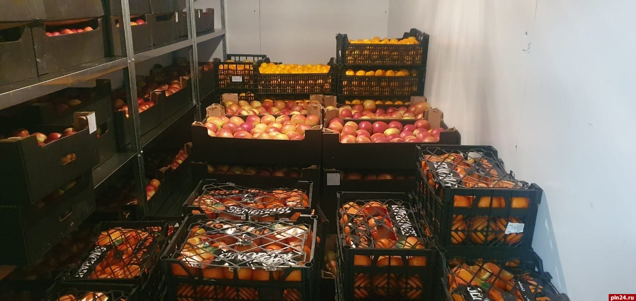 Несколько тонн фруктов отправили в зону СВО из Псковской области