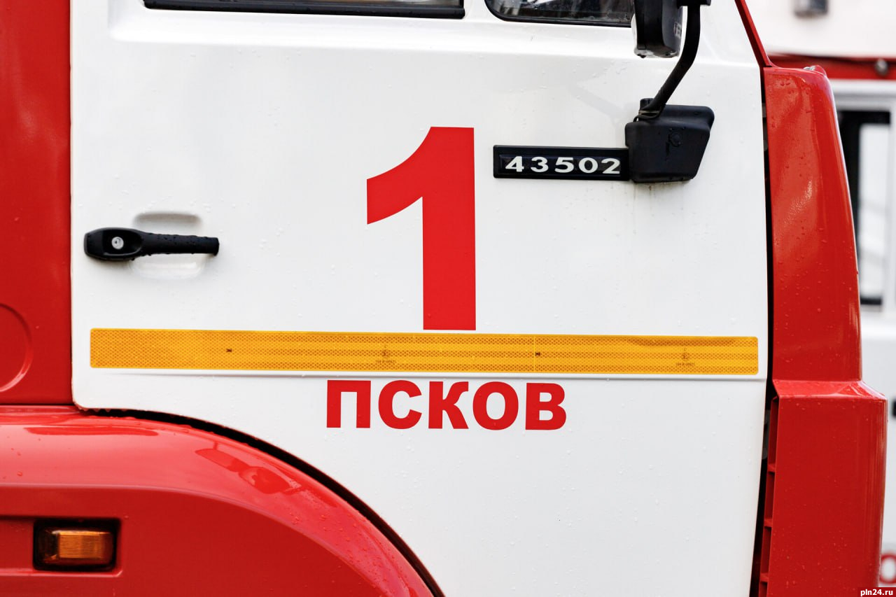 Более 10 пожаров случилось в Псковской области в новом году 