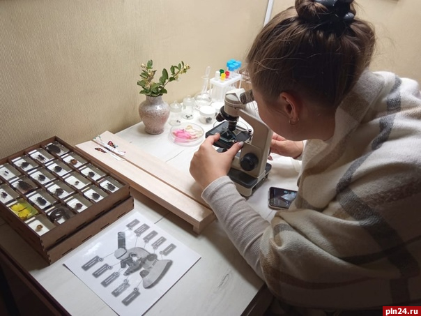 Выставка «Бабочки нашего детства» завершится в музее-заповеднике «Изборск» 21 января 