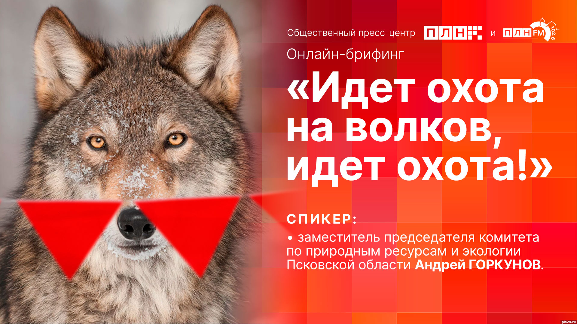 Начинается видеотрансляция онлайн-брифинга об охоте в Псковской области