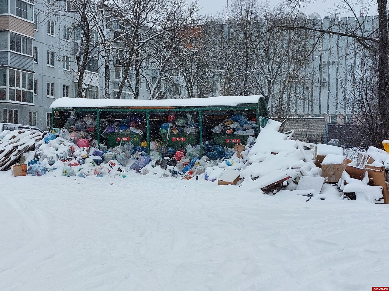 Псковский «Экопром» оштрафовали за невывоз мусора в новогодние праздники