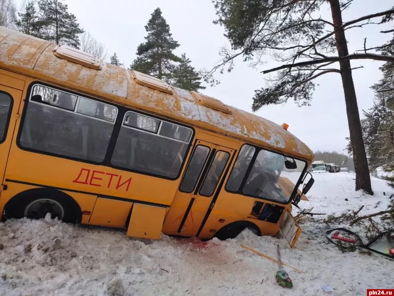 Виновника ДТП со школьным автобусом в Пушкиногорском районе заключили под стражу