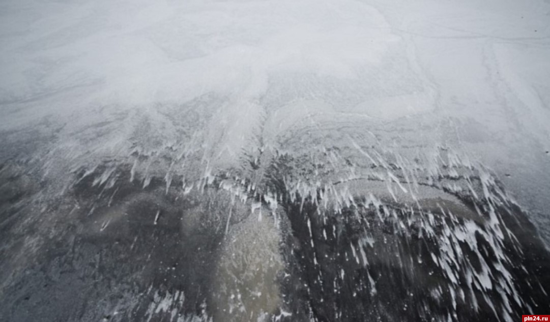 Уголовное дело возбудили по факту смертельного наезда квадроцикла на рыбака на льду Чудского озера