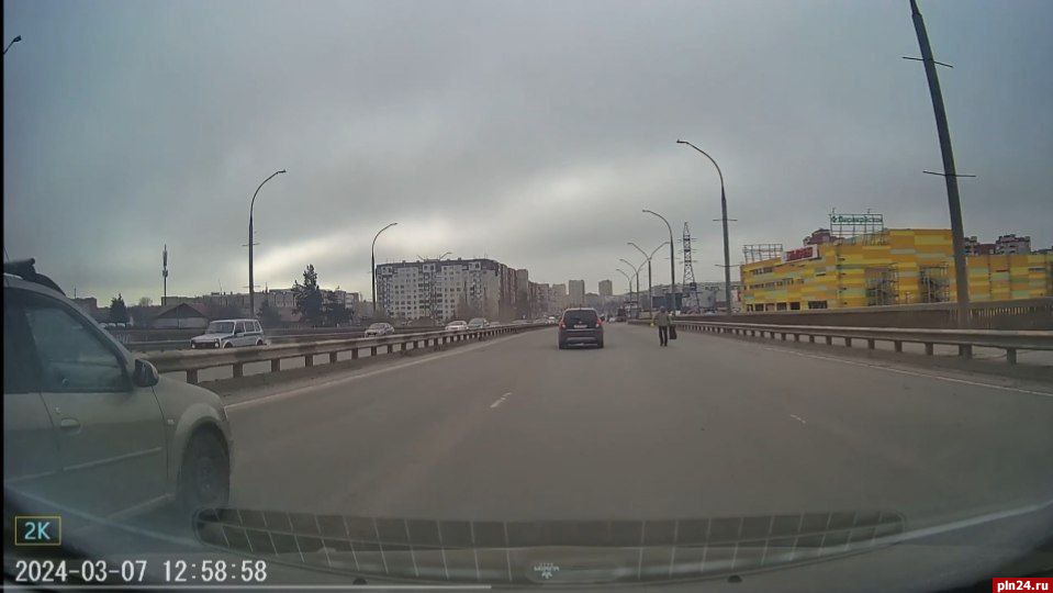 Пешеход с цветами и пакетом потеснил автомобили на мосту Невского в Пскове. ВИДЕО