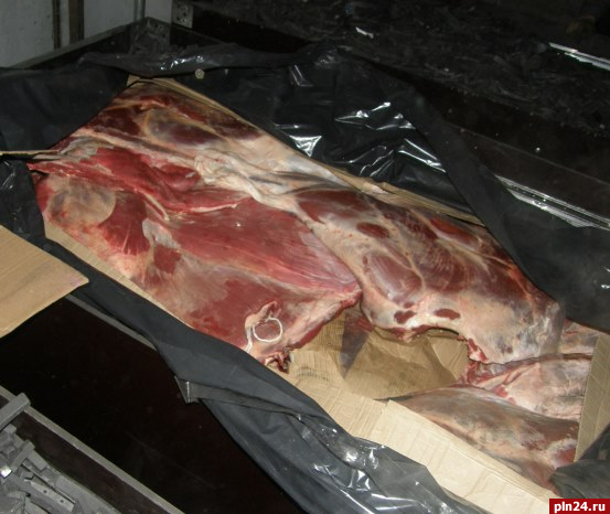 Незаконный ввоз более 4 тонн говядины предотвратили в Псковской области