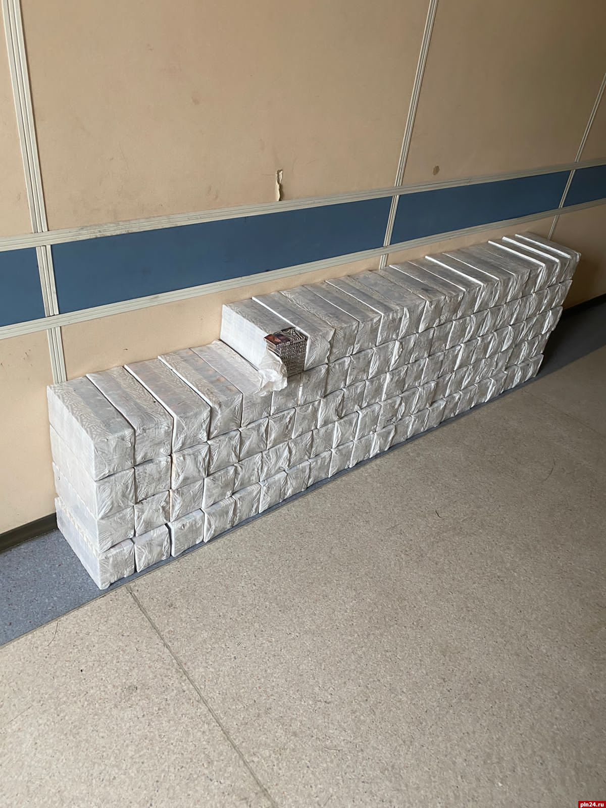 Псковские пограничники пресекли попытку контрабанды табачной продукции стоимостью полмиллиона рублей