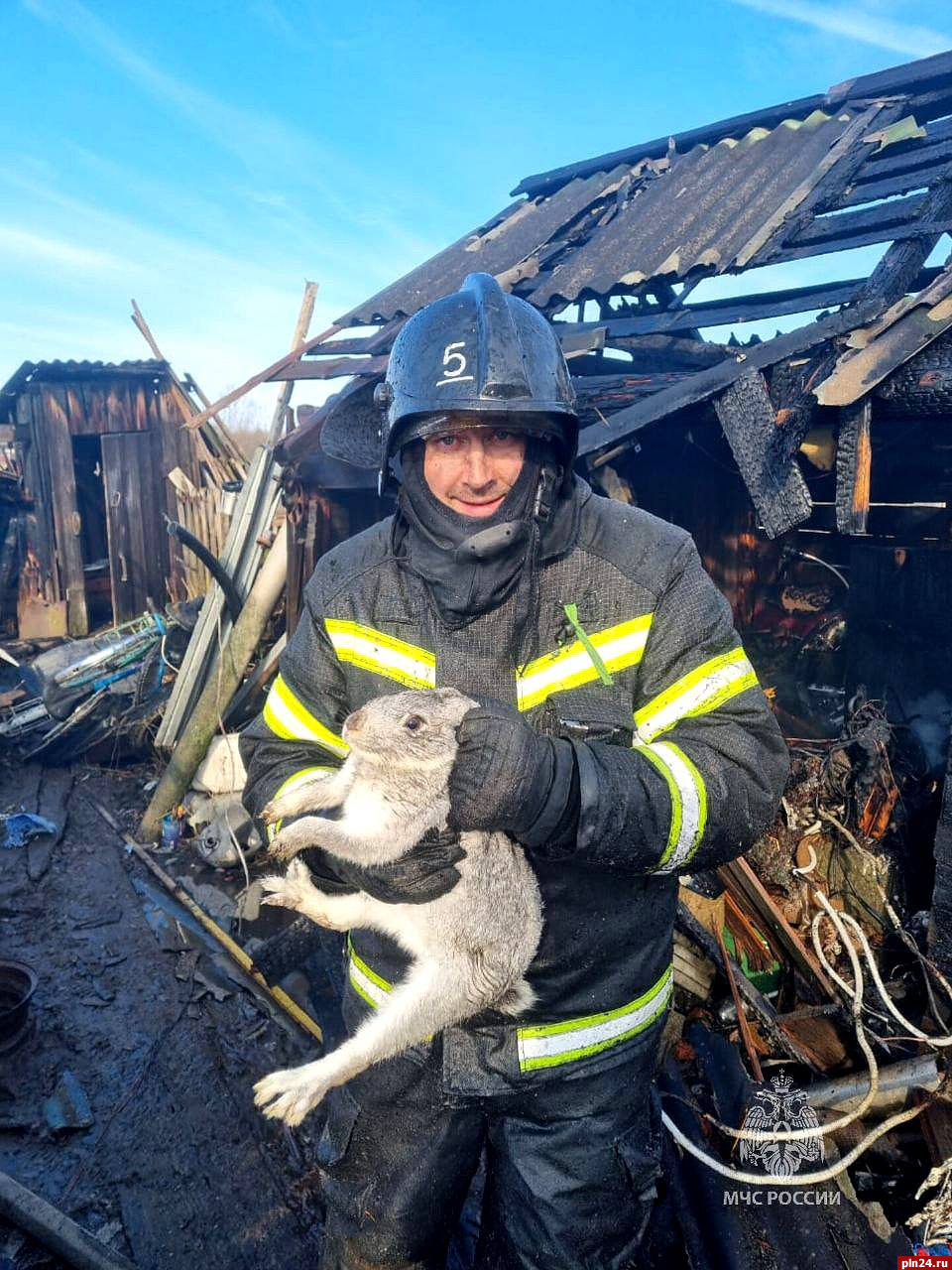 Крольчонка спали при пожаре в псковской деревне Черпесса
