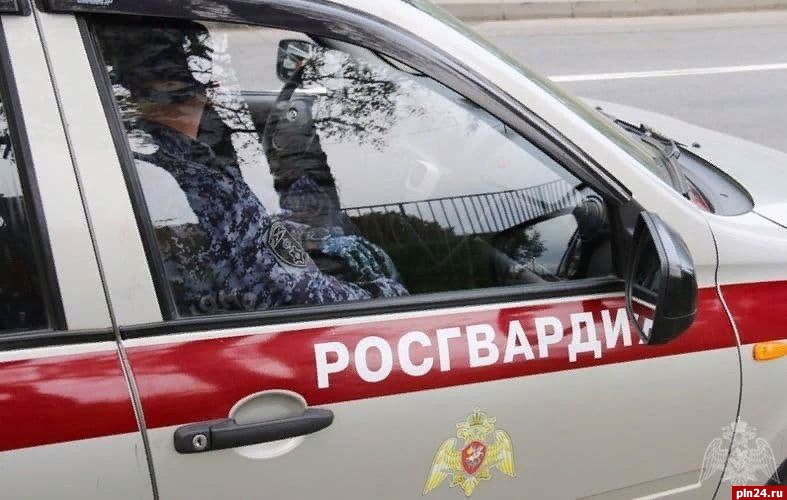 Псковича задержали за попытку кражи из магазина на улице Труда в Пскове
