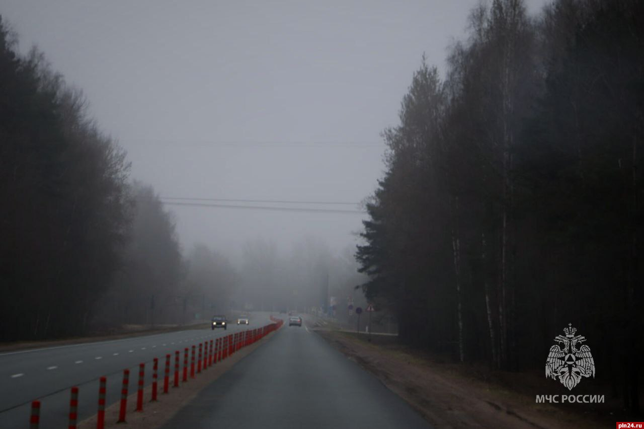 Туман ожидается ночью в Псковской области