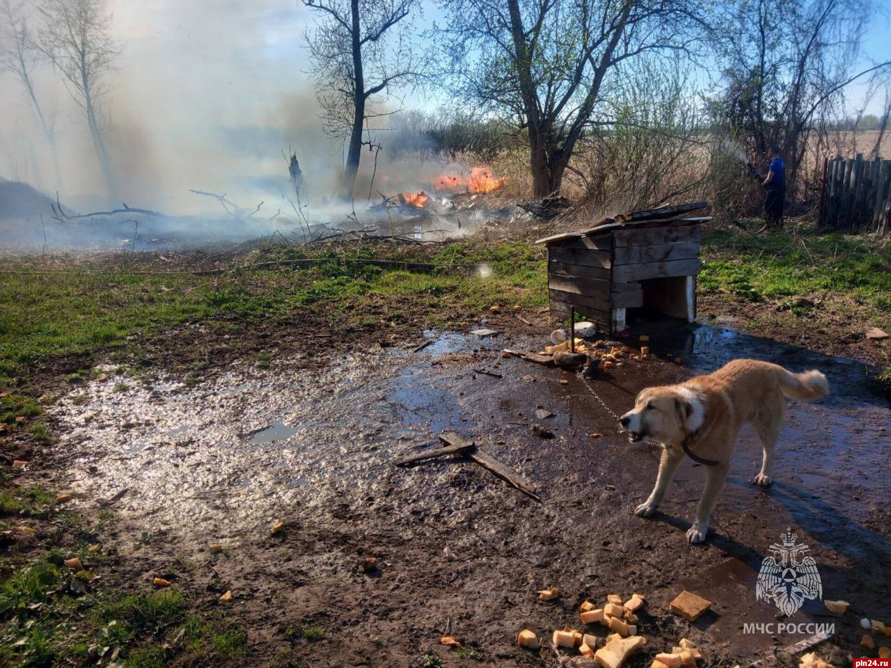 Специалисты МЧС России спасли собаку и дома от огня в Псковской области