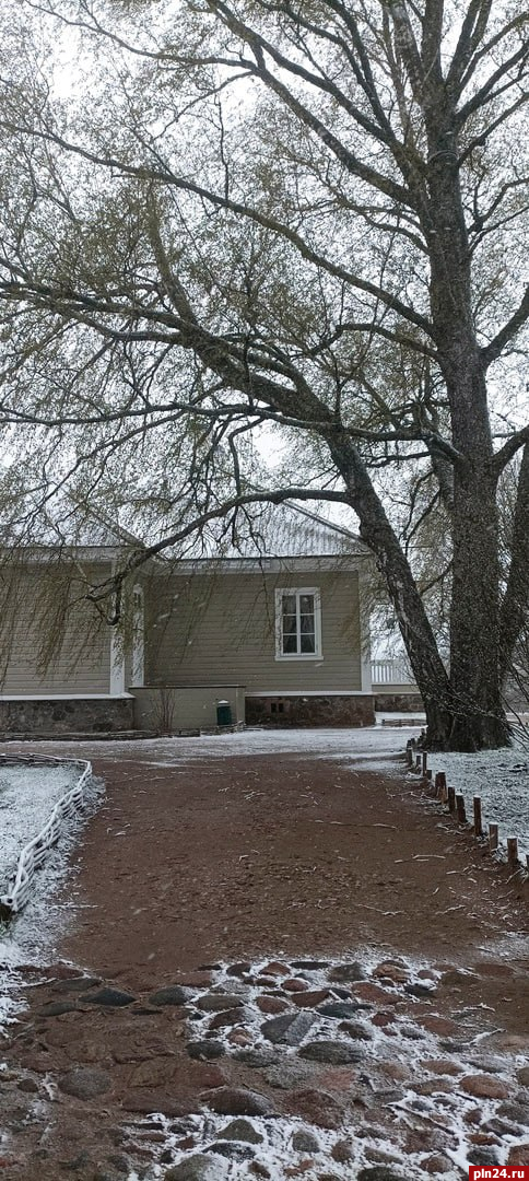 Прямая трансляция апрельского снегопада в Михайловском доступна на сайте музея-заповедника