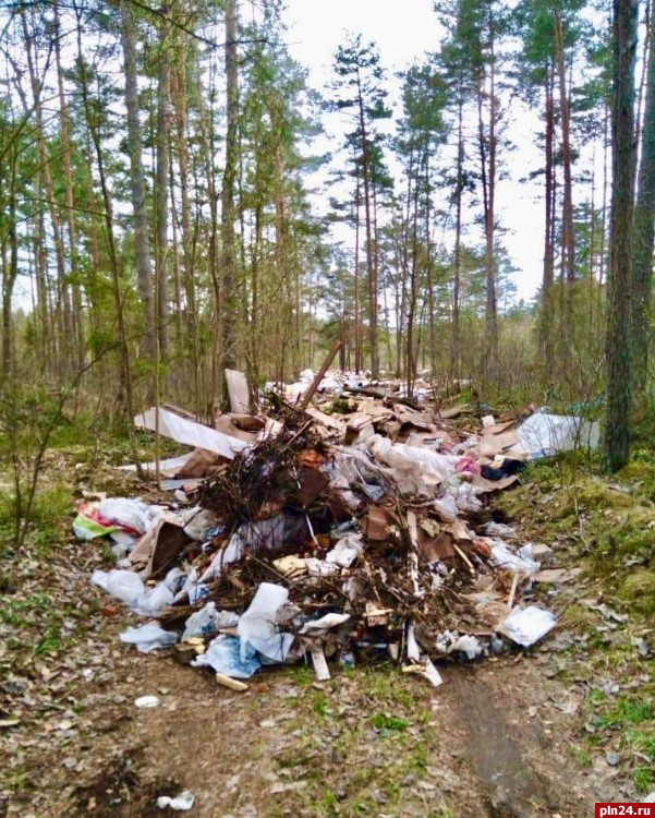 Видеокамеры установят в местах незаконного складирования мусора в Псковском районе