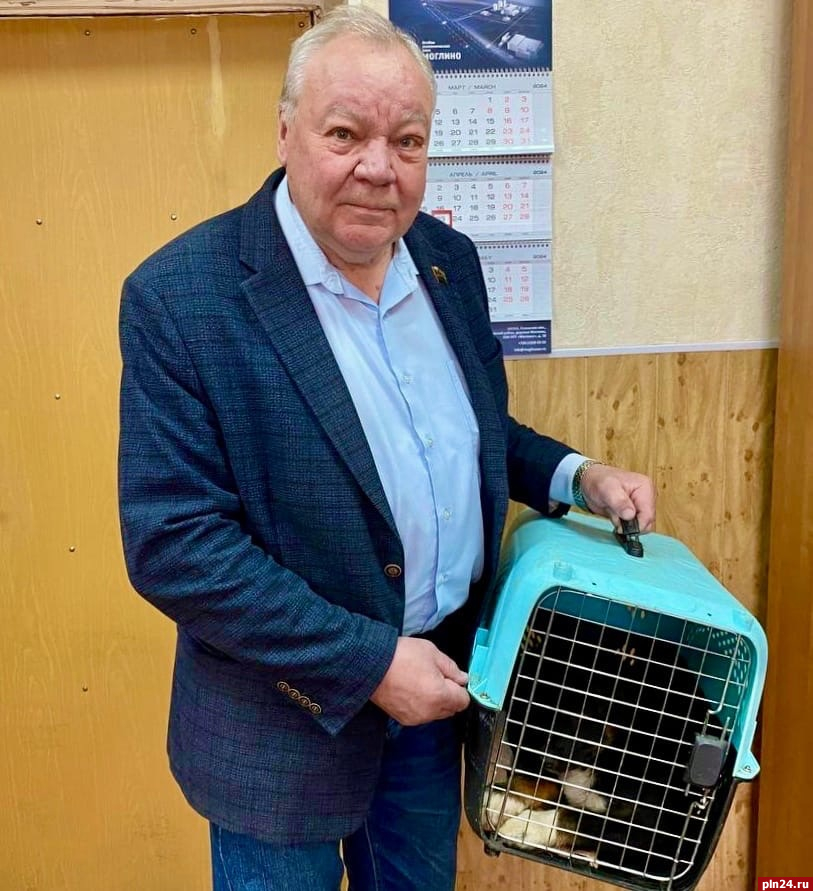Председатель Псковского районного Собрания взял щенка из зооприюта