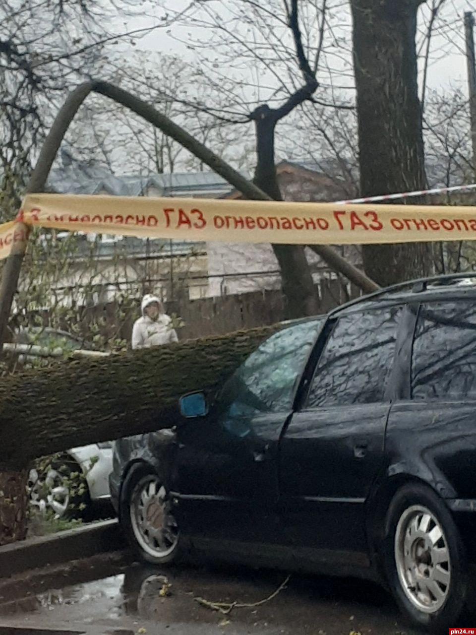 Дерево упало на автомобиль и повредило газопровод на улице Мирной в Пскове
