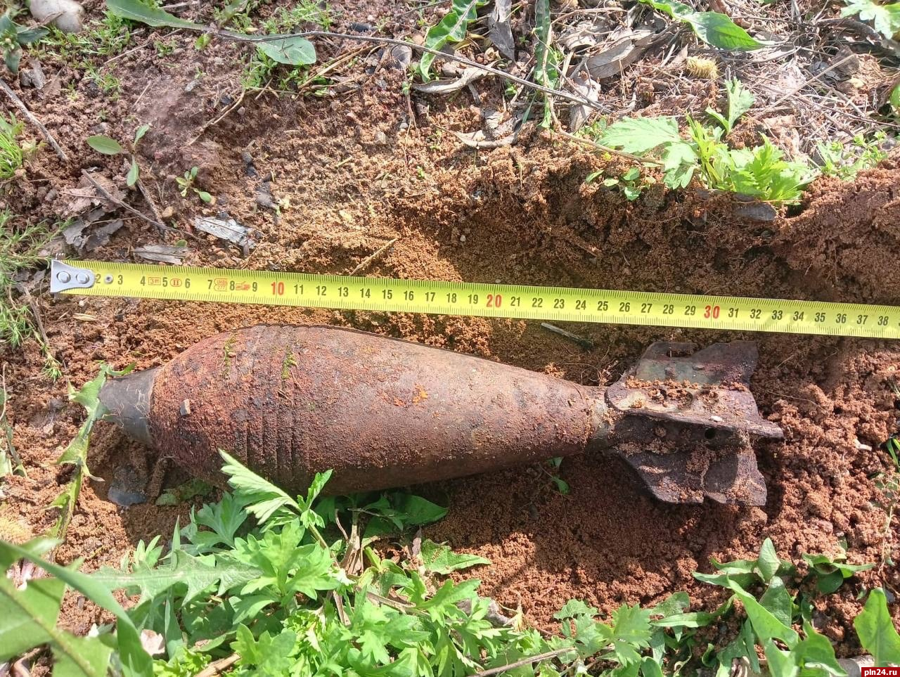 Минометную мину  идентифицировали в Великолукском районе