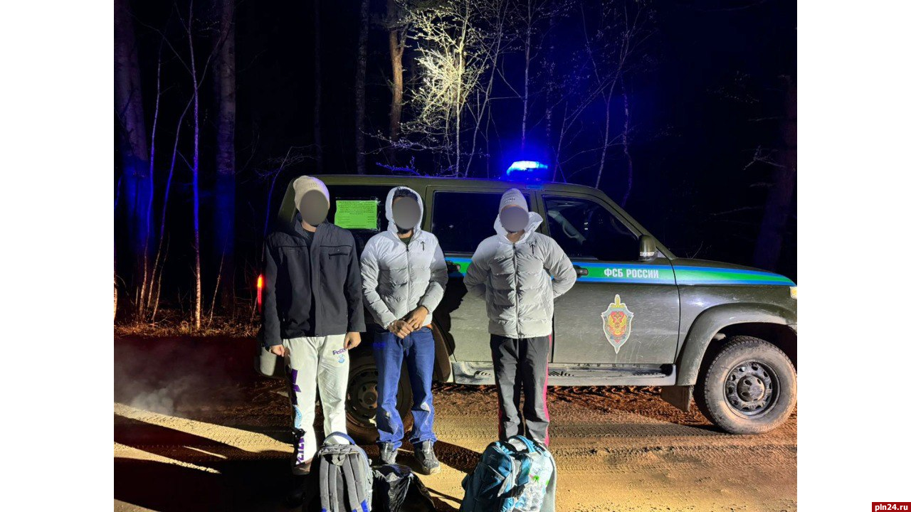 Троих граждан стран Южной Азии задержали на границе в Псковской области