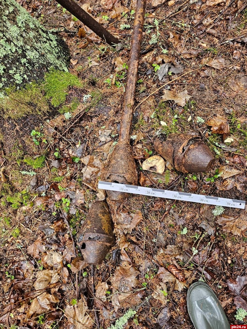 Три гранаты нашли в лесу вблизи печорской деревни Бебешкино 