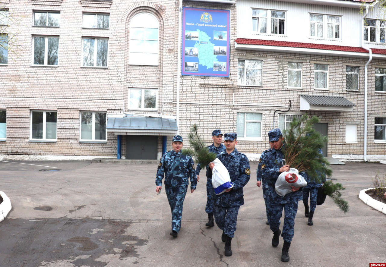 Псковские курсанты высадили деревья на территории университета