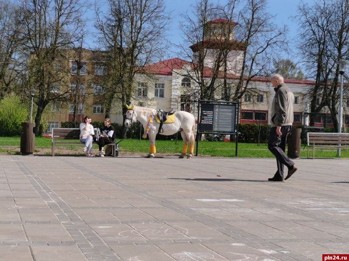 Фотофакт: Прокатчики лошадей обосновались в псковском Сквере искусств