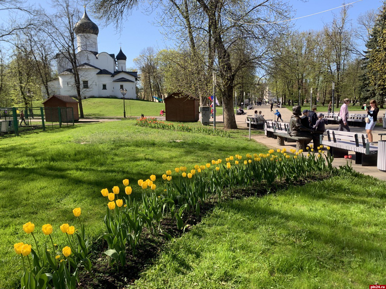 Фотофакт: Тюльпаны расцвели в центре Пскова