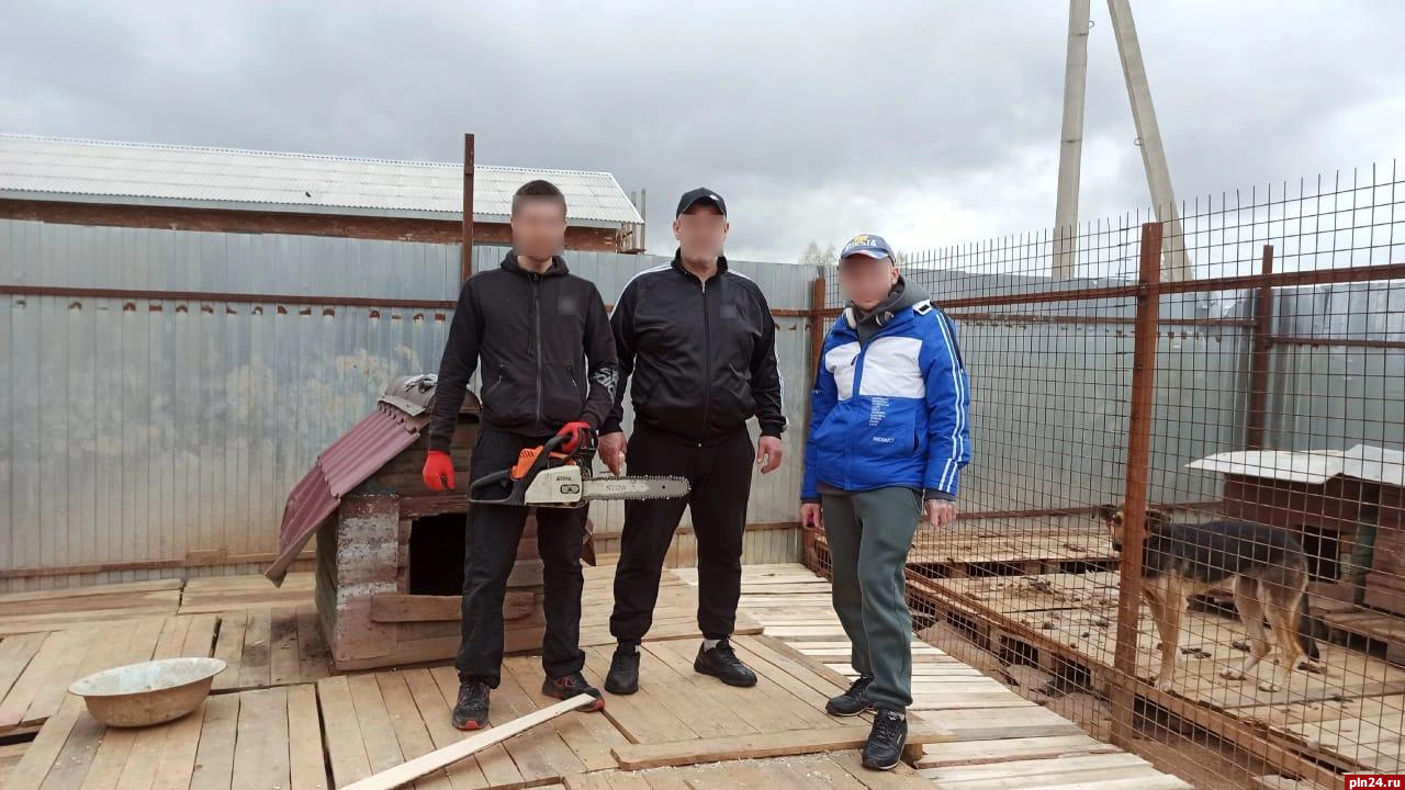 Осужденные в Псковской области помогли благоустроить зооприют