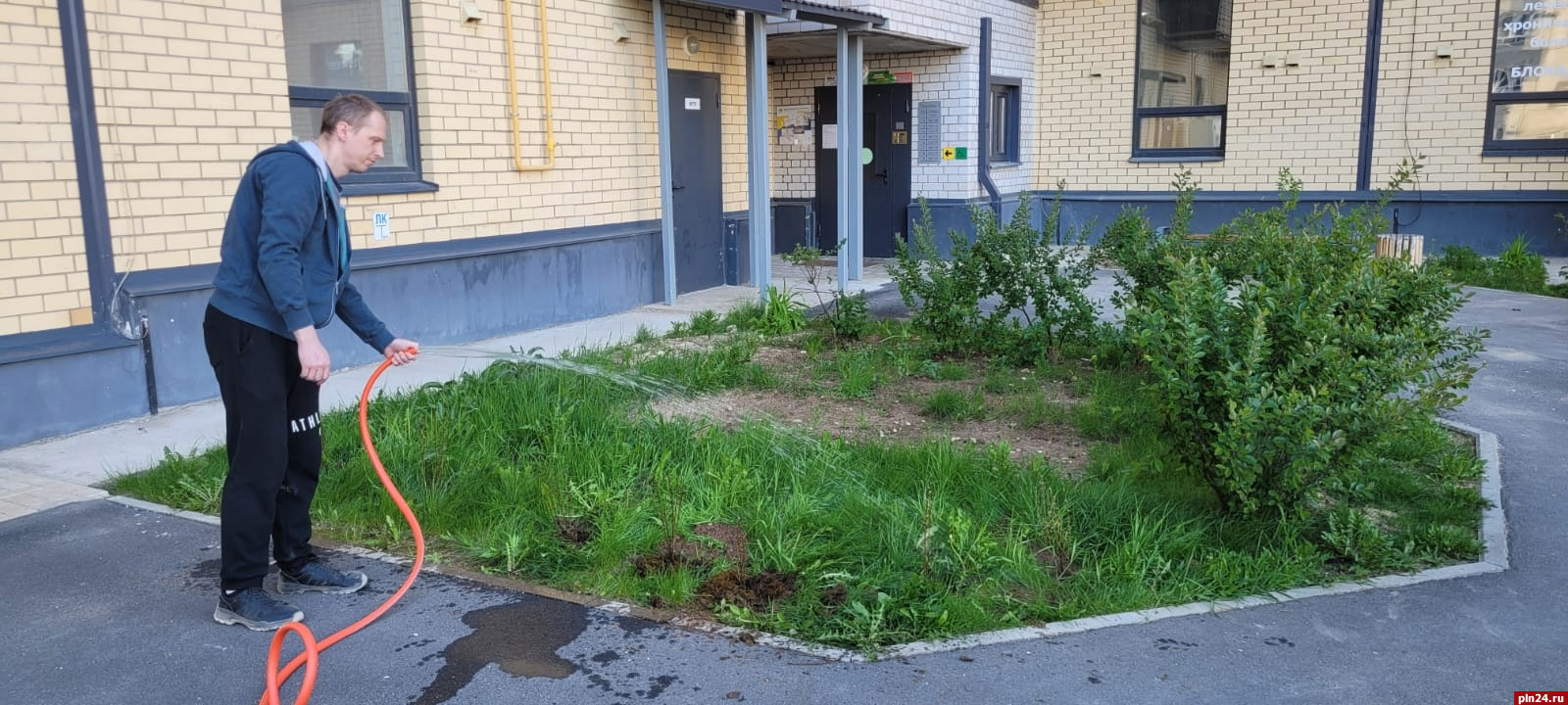 Сотрудники «Нового квартала» озеленили придомовую территорию на улице Завеличенской в Пскове