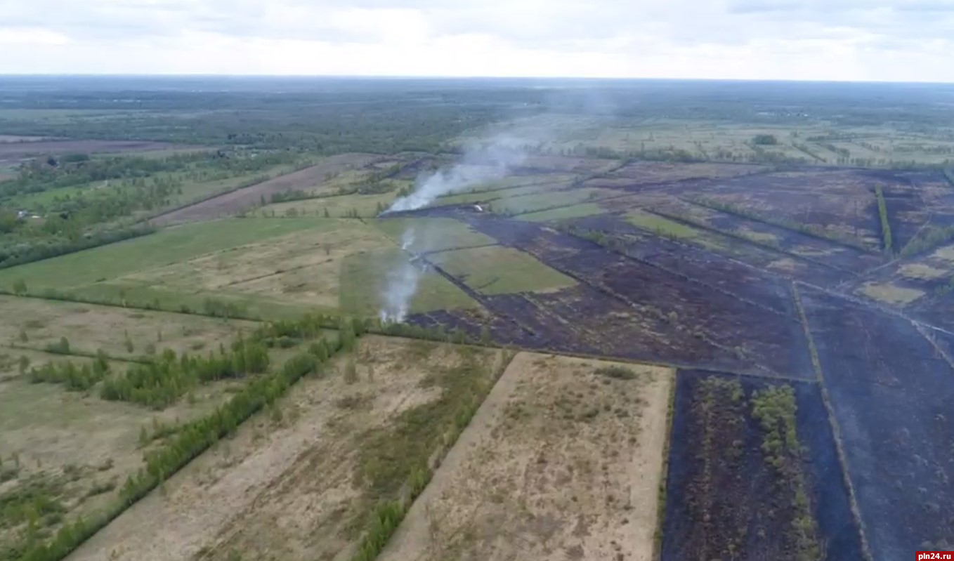 Более 130 ландшафтных пожаров зарегистрировали в Псковской области с начала года