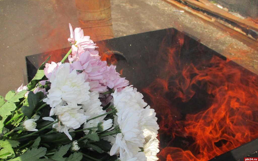 Почти две тысячи зараженных хризантем уничтожат в Псковской области