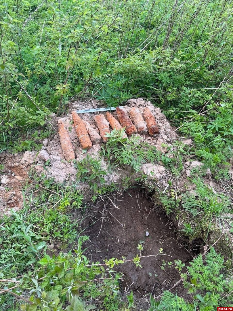 Восемь артиллерийских снарядов нашли вблизи невельской деревни Мылинки