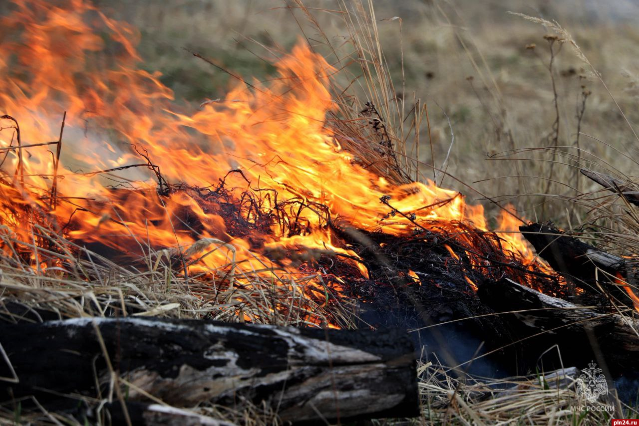 Чрезвычайная пожарная опасность ожидается в Псковской области