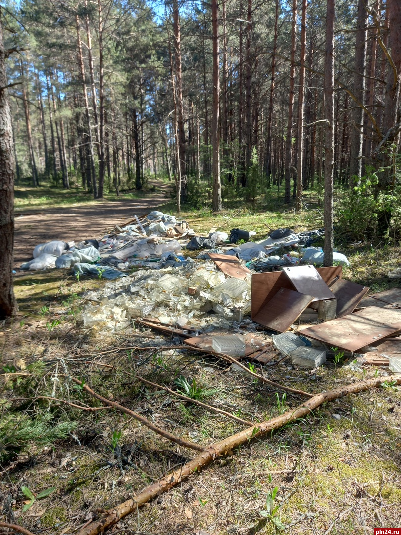 «Свинский беспредел»: строительный мусор выгрузили у дороги к роднику под Псковом