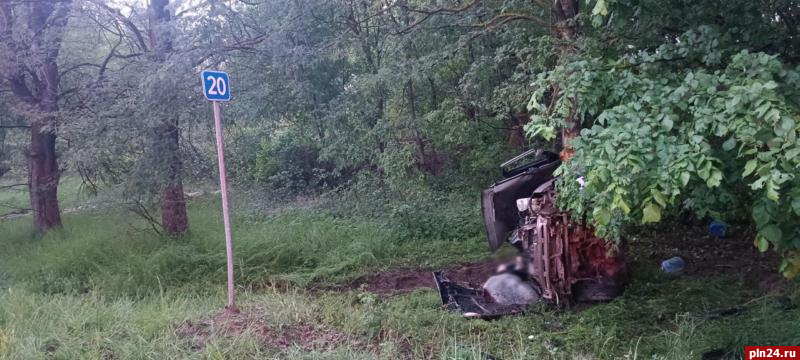 Подробности ДТП с погибшими под Псковом: ВАЗ разорвало пополам от удара о дерево