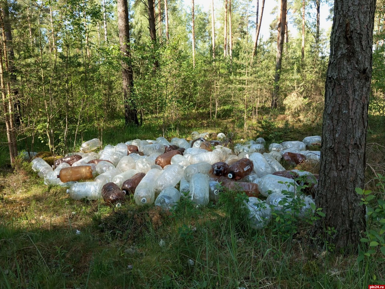 Свалку пластиковых бутылок обнаружили в псковской деревне Соловьи
