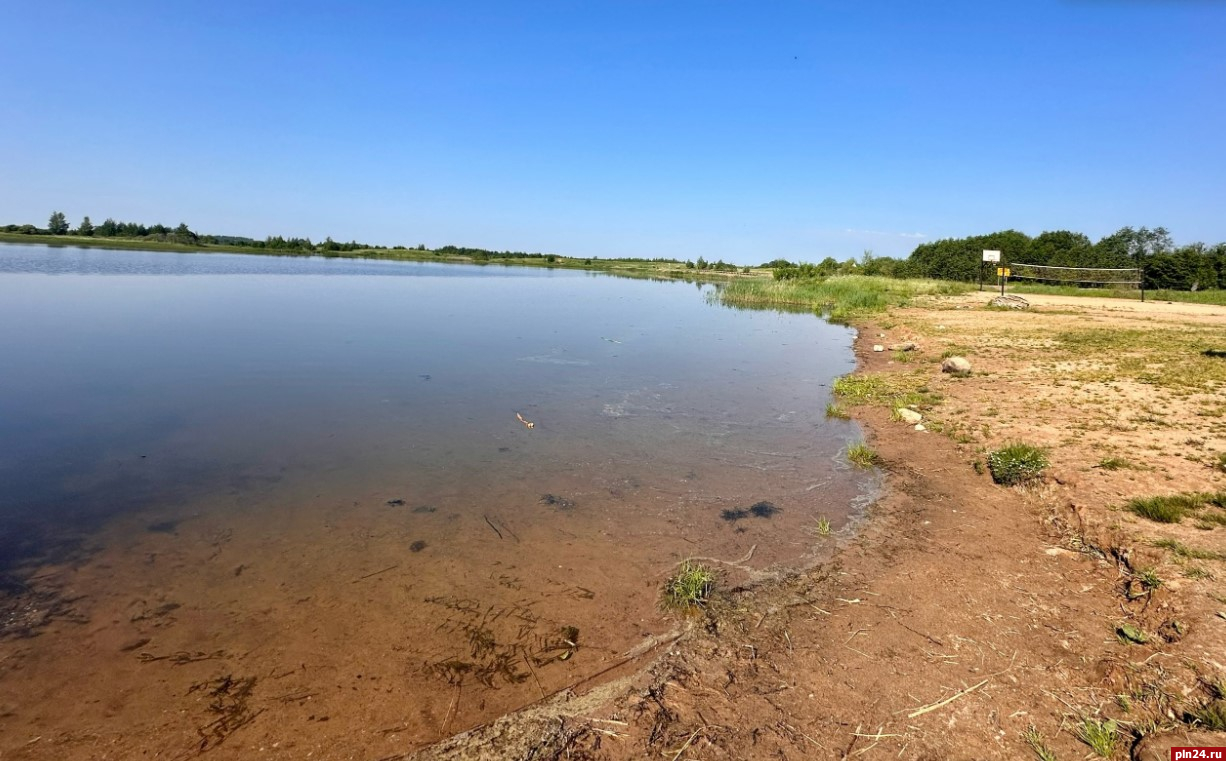 Великолучан призвали не купаться в Фотьевском озере из-за опасности появления сыпи