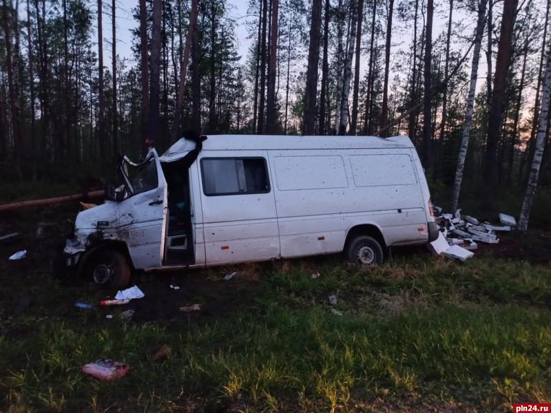 Водитель фургона попал в больницу после наезда на лося в Псковском районе. ФОТО