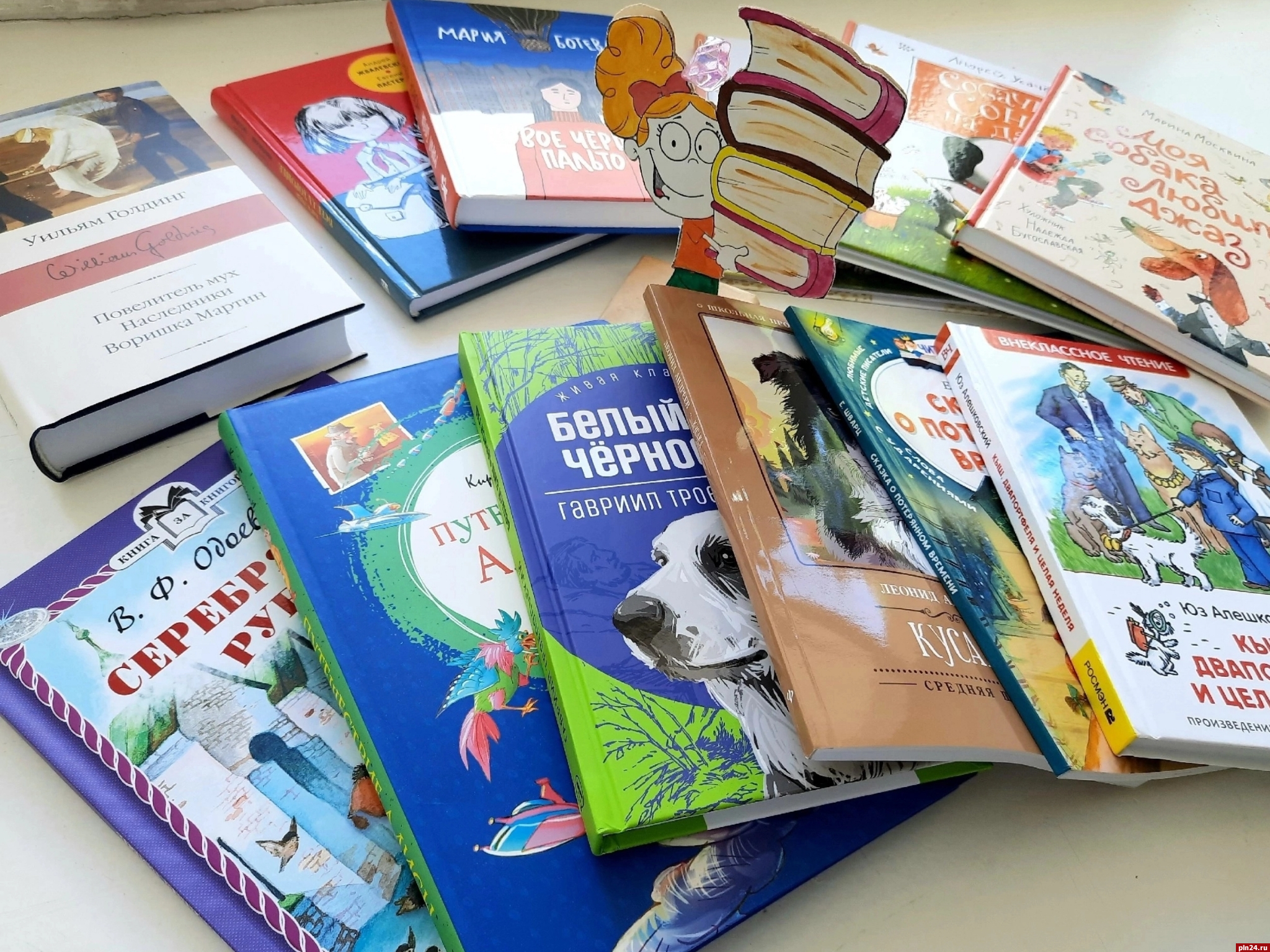 Новые книги получили псковские районные библиотеки