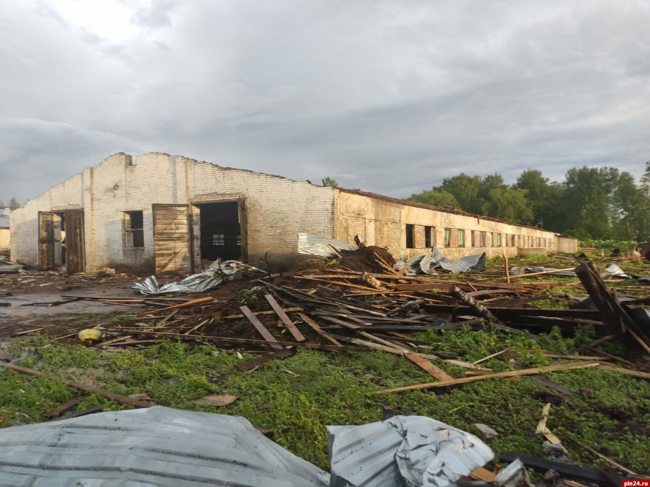 Ураган сорвал кровли животноводческих комплексов и оборвал высоковольтные провода в Дедовичском районе