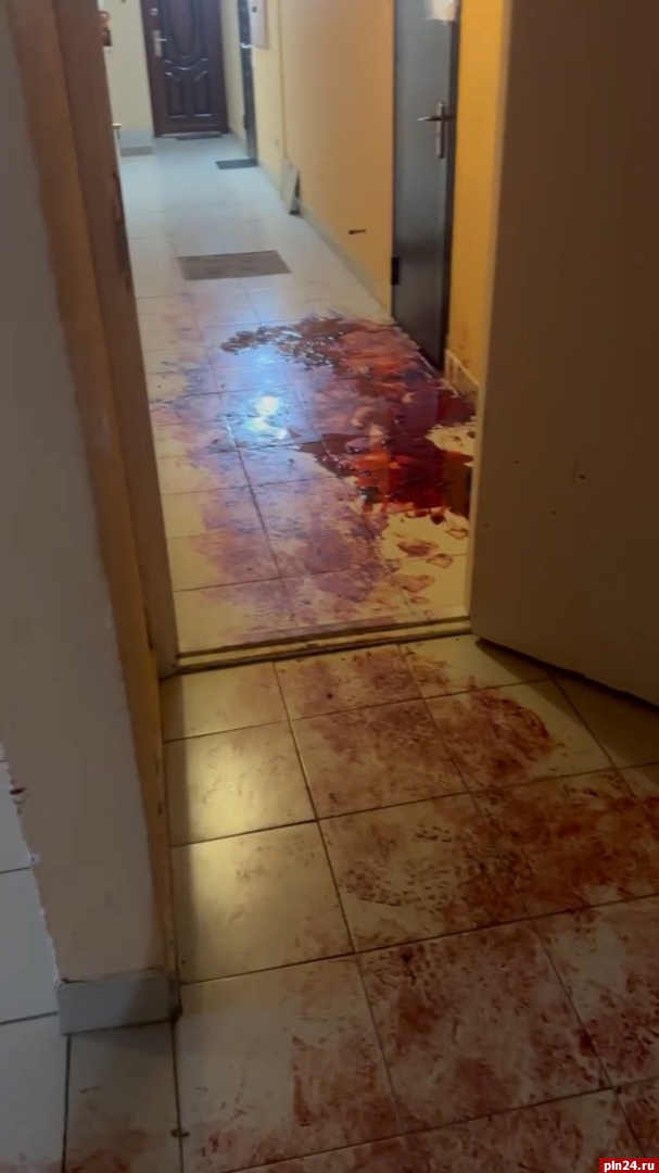 Муж убил жену в доме на улице Юности в Пскове