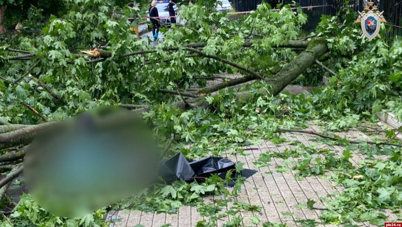 Мужчина погиб из-за урагана «Эдгар» в Москве