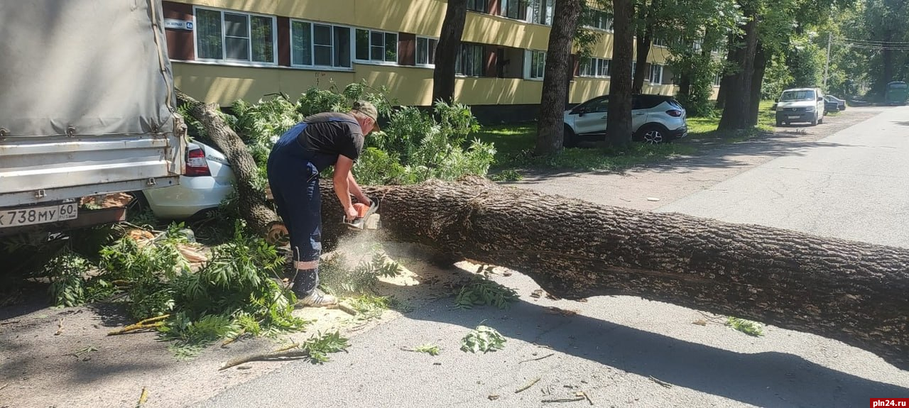Фотофакт: работник «Ситиинвестгрупп» пилит дерево, прибившее машину в Пскове