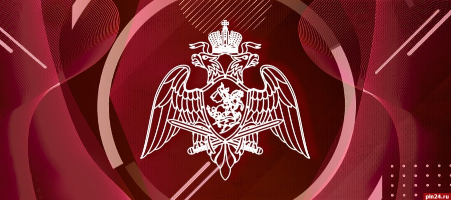 Почти 100 боеприпасов изъяли псковские росгвардейцы за неделю